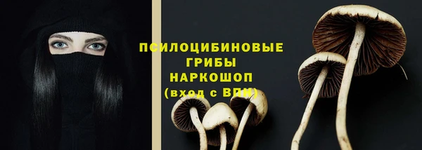 COCAINE Богданович